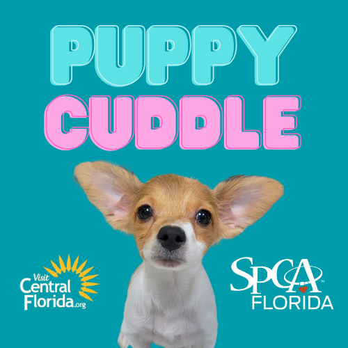Puppy Cuddle - logo